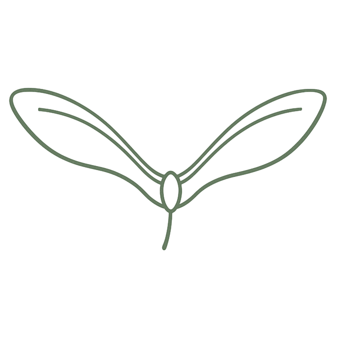 Lynn Elsdon-O'Brien - Two Wings Therapy in North Tyneside